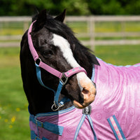 Head Collar Rosalynn - Pink/Blue