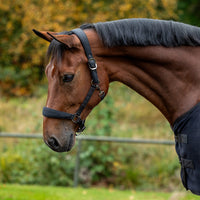 Headcollar Set Avenna - Black