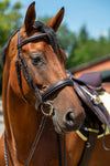 Bridle Hunter II - Dark Brown