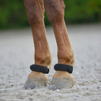 Fetlock Ring Pair