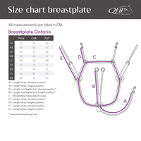 Ontario 5 Point Breastplate - Black