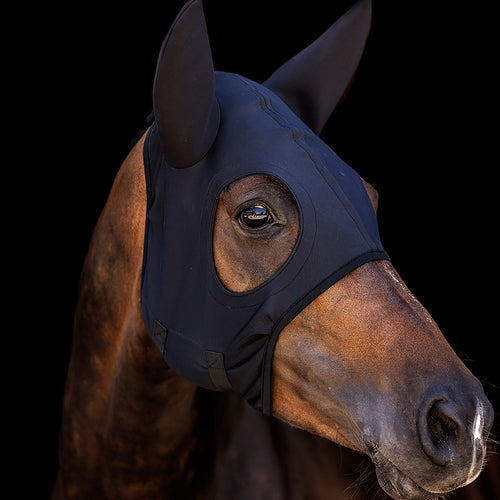 Come Best Titanium Hood with Ears