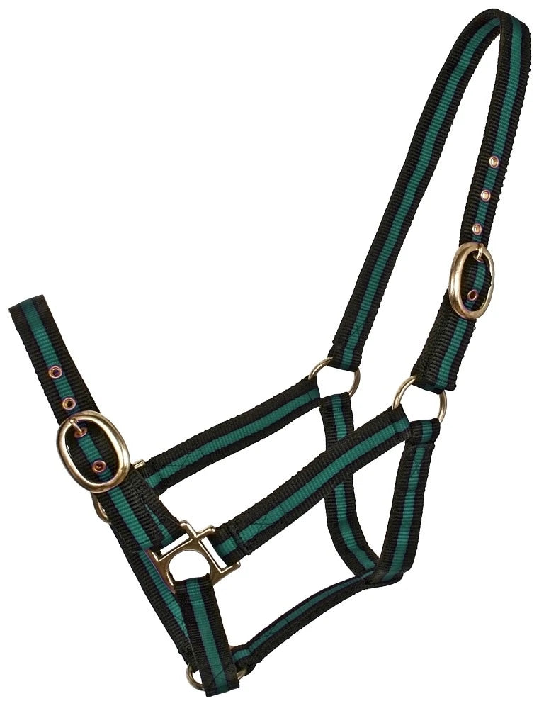 Striped Web Halter Green