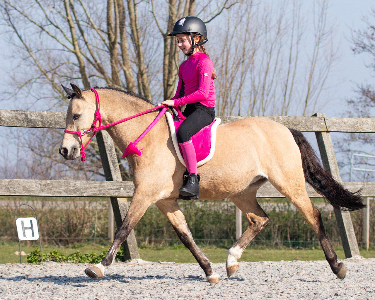 Bareback Pad - Fuchsia