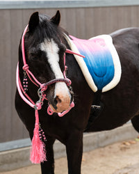 Bareback Pad Rosalynn - Pink/Blue