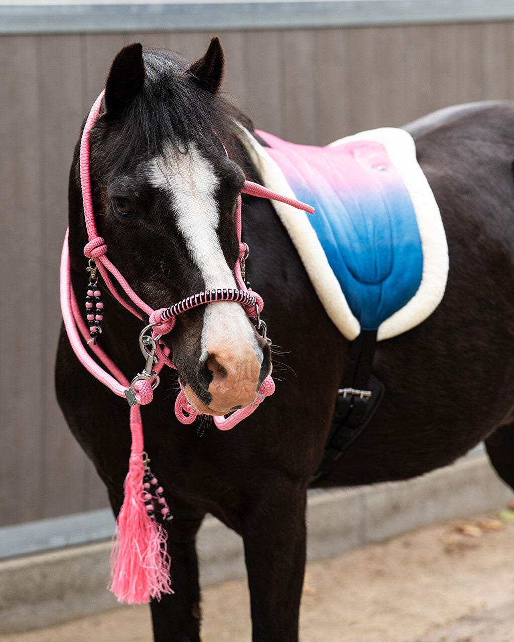 Bareback Pad Rosalynn - Pink/Blue