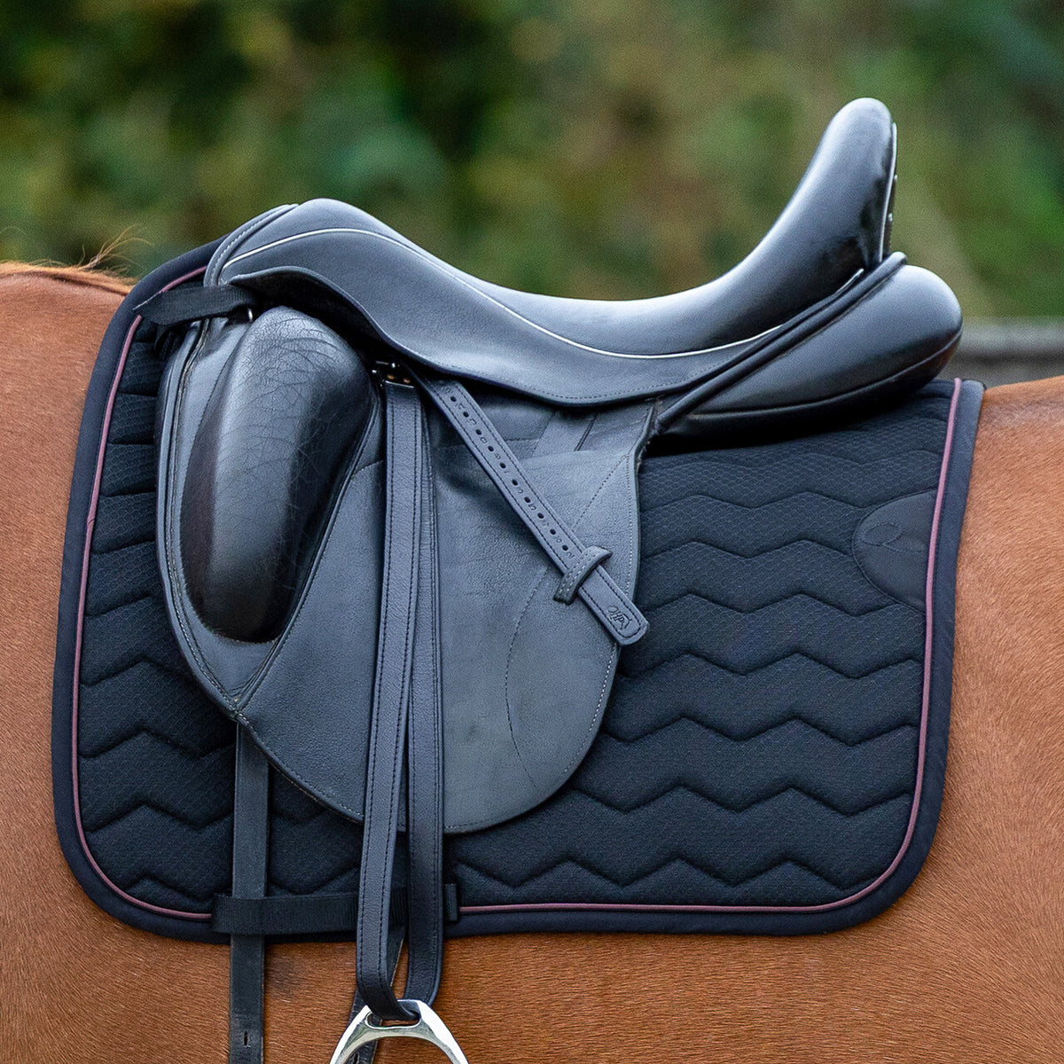 Saddle Pad Avenna Dressage - Black Full