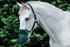 Solar Shade Nose Guard