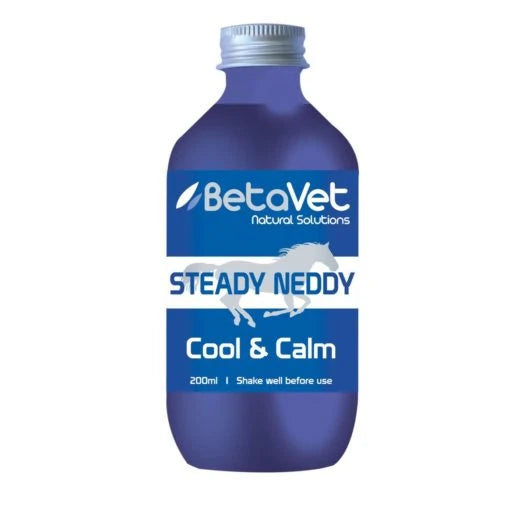 Steady Neddy