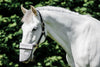 Solar Shade Nose Guard
