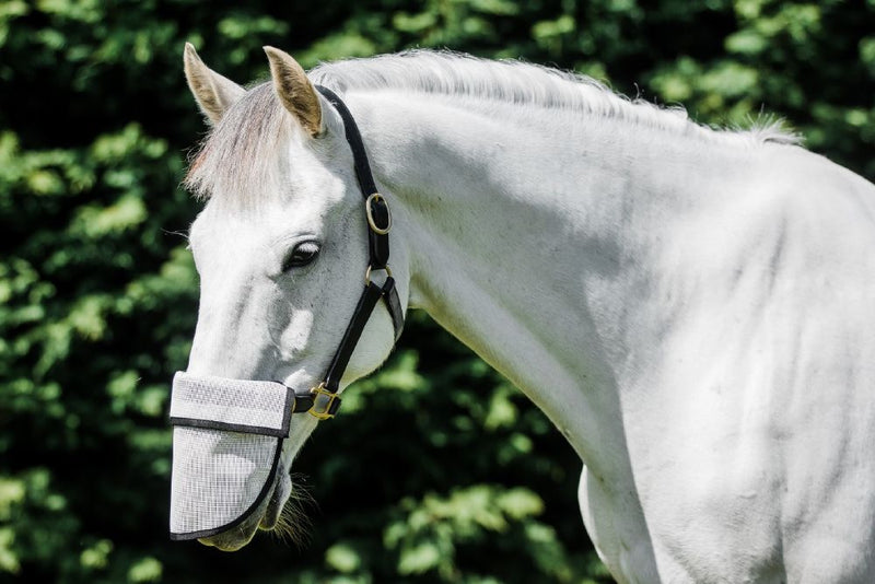 Solar Shade Nose Guard