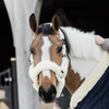 Sheepskin Shipping Halter - Natural