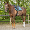 Saddle Pad Micah All Purpose - Ocean Breeze Full