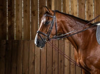 Working Leather/Nylon Draw Reins 5/8" - Brown