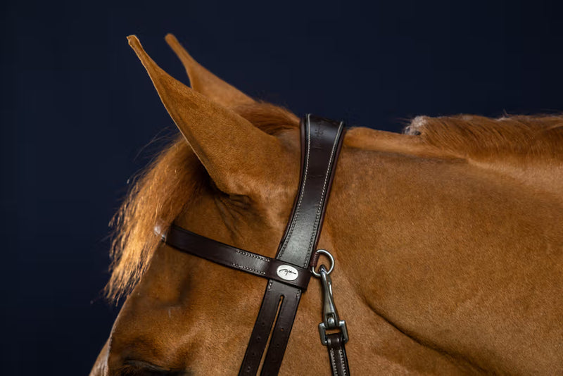 Working Flat Leather Bridle with Snap Hooks - Black