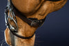 Working Flat Leather Bridle with Snap Hooks - Black