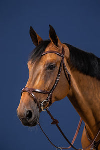 New English X-Fit Anatomic Bridle - Brown