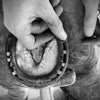 Stud Putty