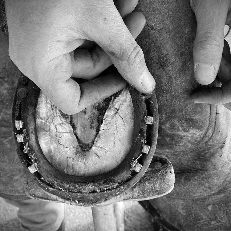 Stud Putty