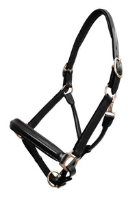 Leather Show Halter - Black