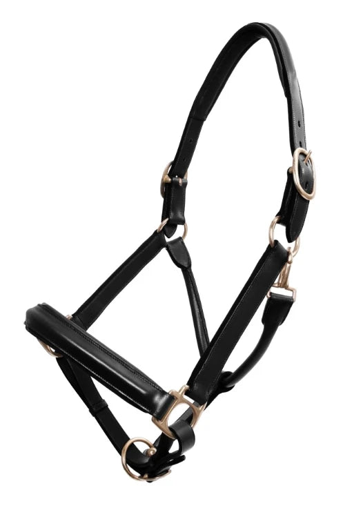 Leather Show Halter - Black
