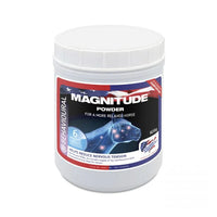 Magnitude Magnesium Powder - 1kg