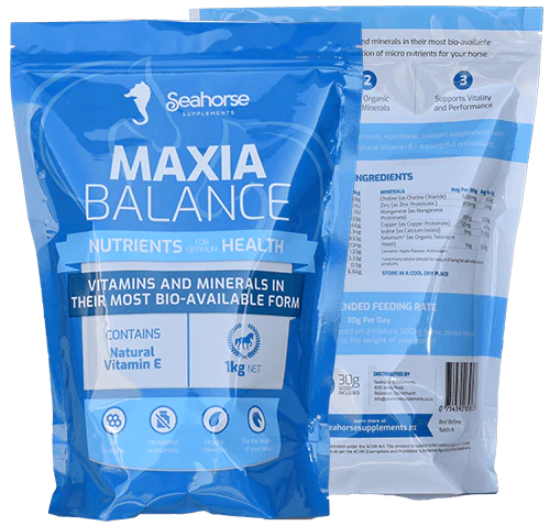 Maxia Balance - 1kg