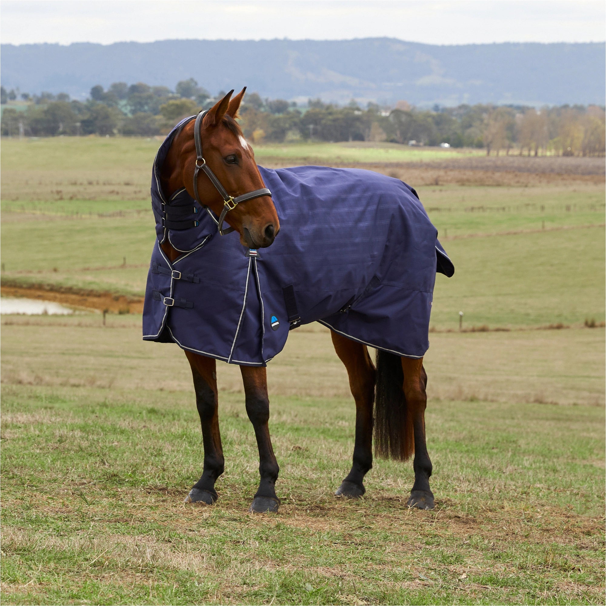 ComFiTec Prelim Turnout Combo Navy Embossed Plaid - 220G