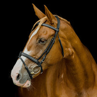 Flat Padded Hanoverian Bridle - Black