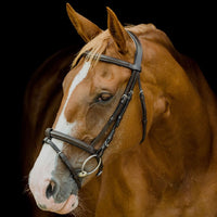 Shaped Raised Padded Bridle - Brown