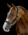 Leather Show Halter - Brown