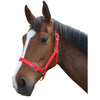 Nylon Halter - Warmblood