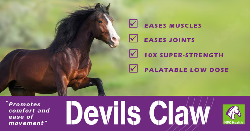 Super Strength Devils Claw - 500g