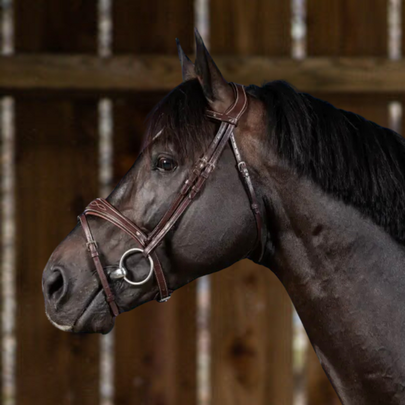 US Jumping Anatomic Flash Noseband Bridle - Brown