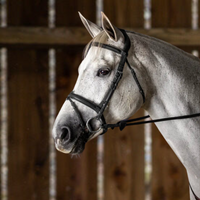 New English Flash Noseband Bridle - Black