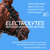 Electrolytes - 2kg