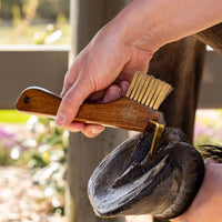 Copper Bristle Wooden Handle Hoof Pick