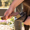 Copper Bristle Wooden Handle Hoof Pick