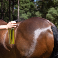 Pre Mixed Essential Oil Coat Conditioner - 500ml