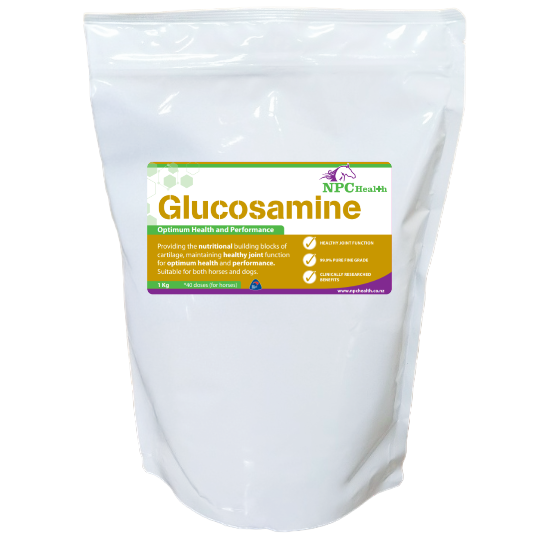 Glucosamine - 1kg