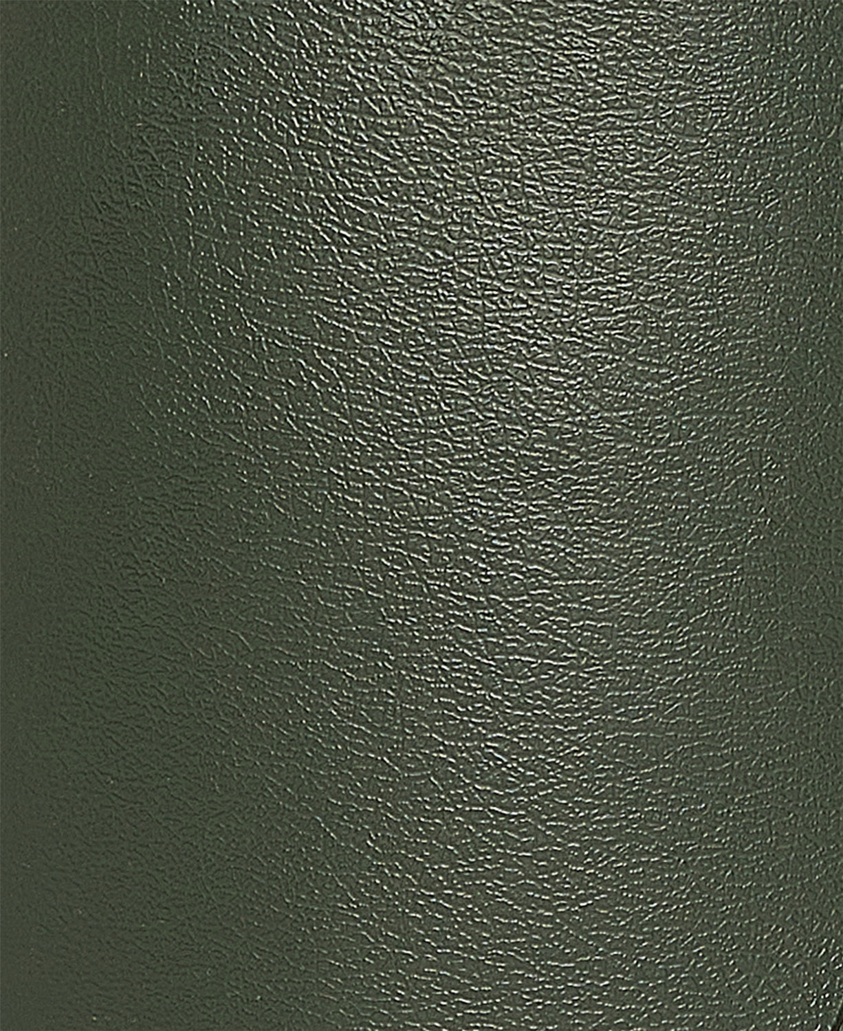 Women's Tempest Tall Welly - Olive