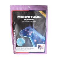 Magnitude Magnesium Powder - 1kg