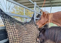 Knotless Hay-Stay Hanging Hay Net