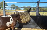 Knotless Hay-Stay Hanging Hay Net