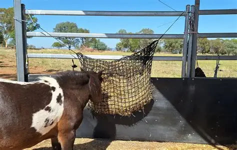 Knotless Hay-Stay Hanging Hay Net