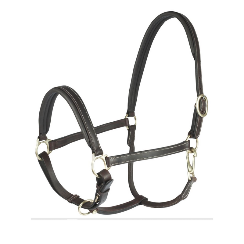 Leather Largo Halter - Brown & Black