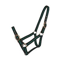 Striped Web Halter Green