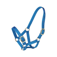 Gymkhana Foal Halter