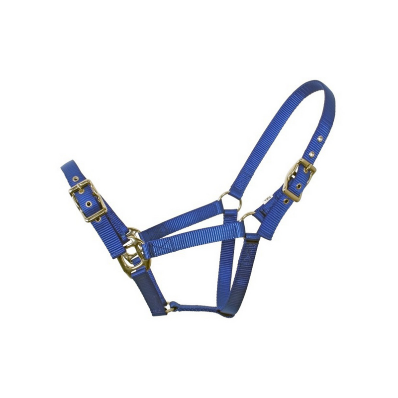 Nylon Halter - Warmblood