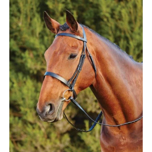 Flat Cavesson Bridle